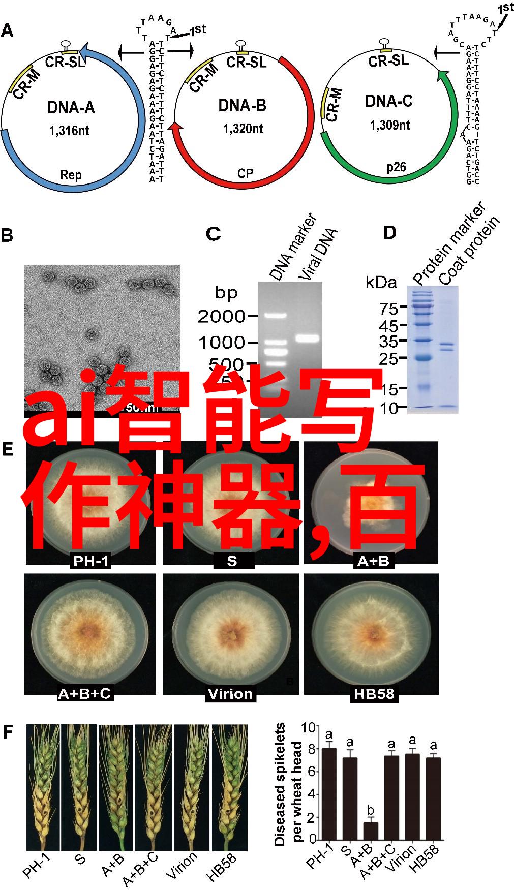 财经郎眼洞察市场脉搏的智慧视角