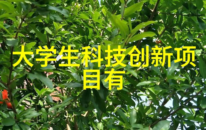 临沂装修我的家变新面貌