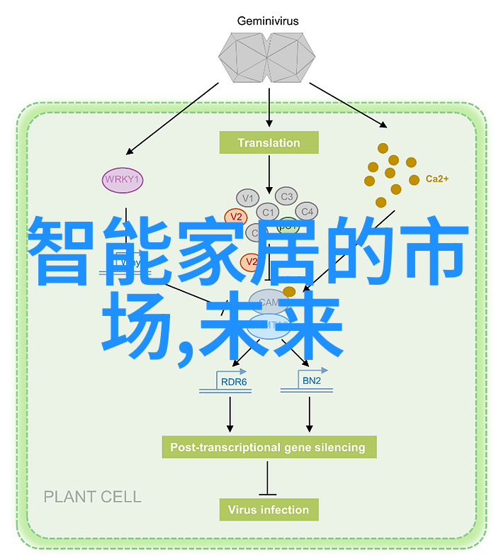 全球芯片强国排行技术创新与产业链的双重驱动力