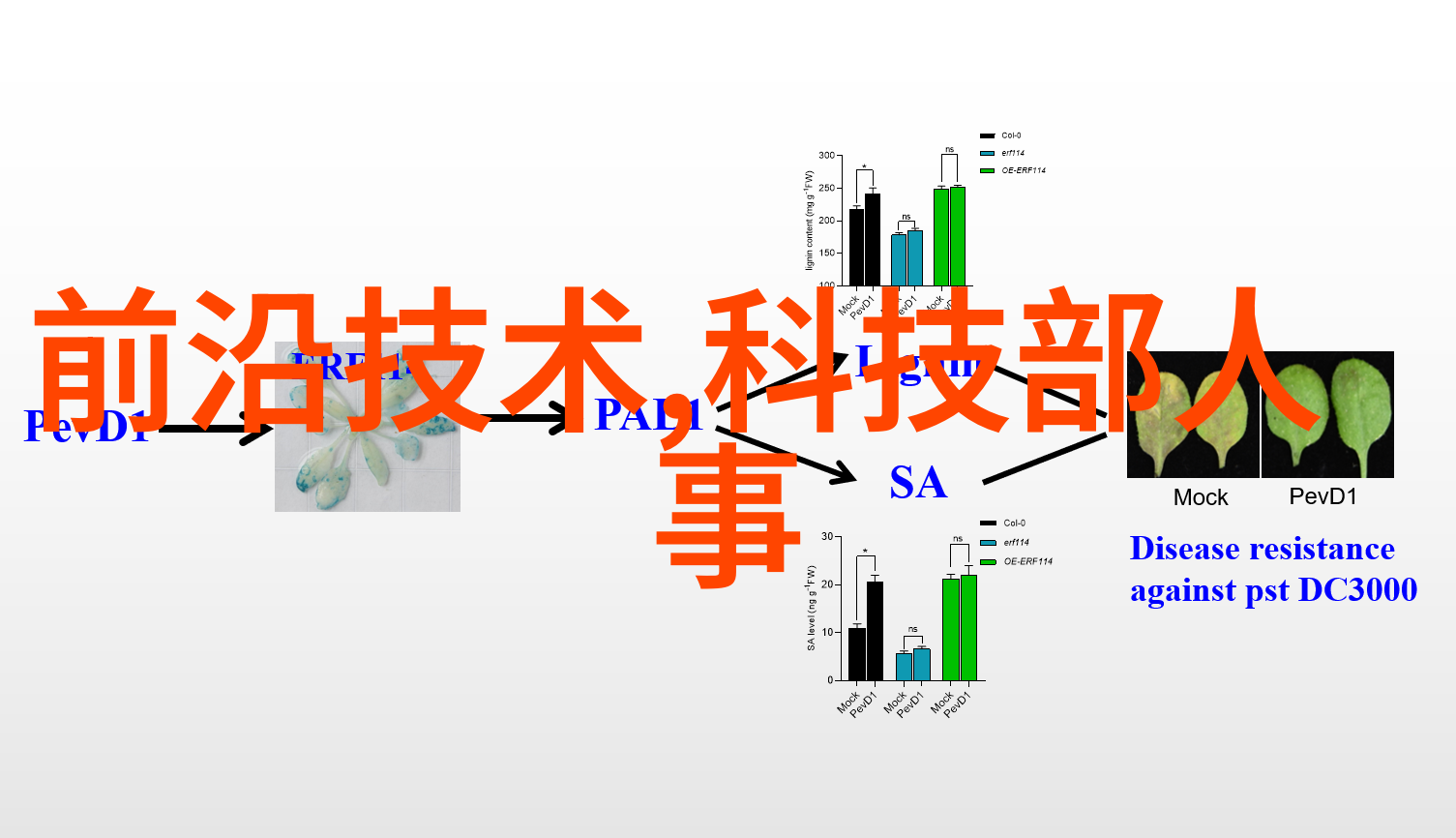 消防设备在火灾预警中的作用有哪些