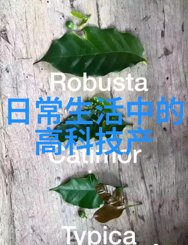 激动人心的传感器技术论文揭秘低功耗加速度冲击记录仪的创新之路