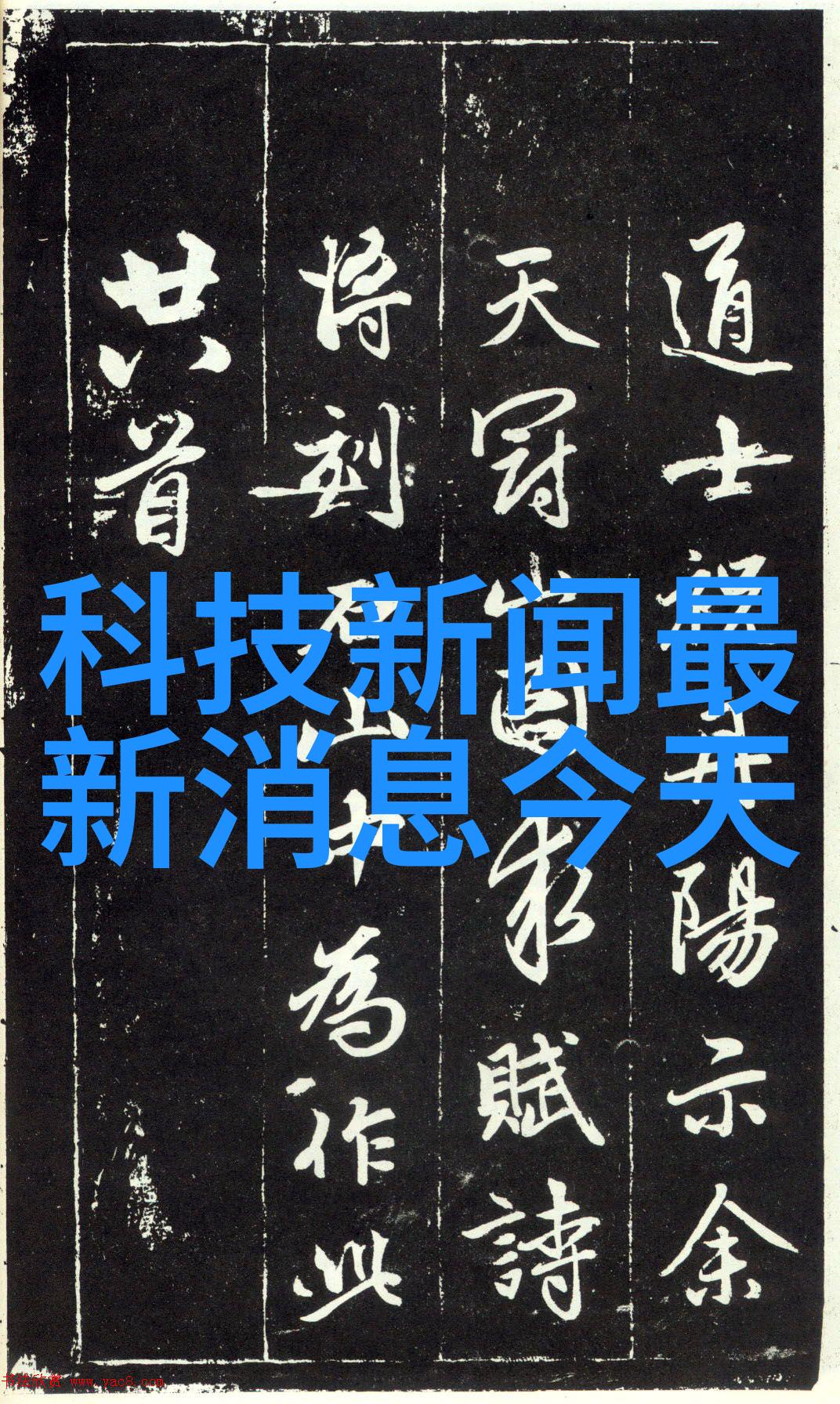 蜂鸟网官网探索数字时代的翅膀轻触未来