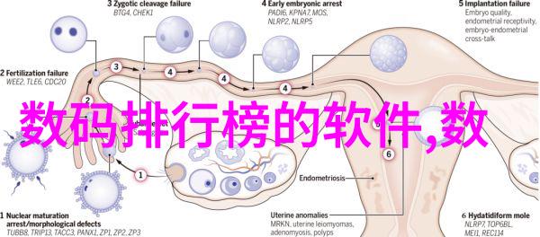 我们应该根据房间功能还是个人喜好来选取卧室墙面装饰图片