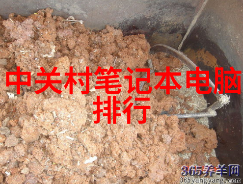 建筑构件的选择与应用从材料科学到结构艺术