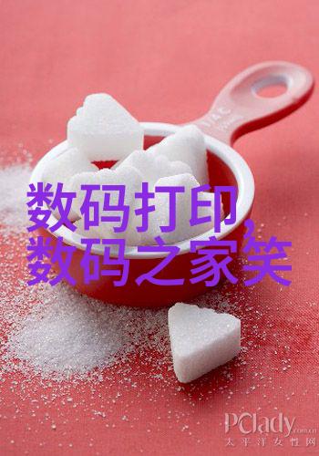 真空冷冻干燥设备我是如何用它来保存我的秘密食谱的