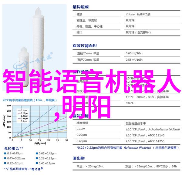 世界级摄影作品解析捕捉人性的深度与光影的魅力