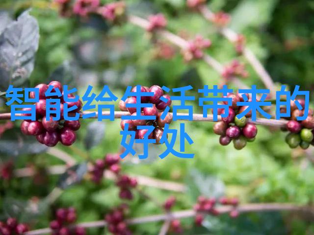 炸鸡帝国新篇章肯德基最新创意菜品上市