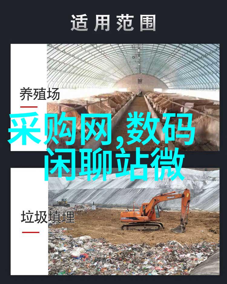 自主决策的智慧在复杂世界中寻找自己的道路