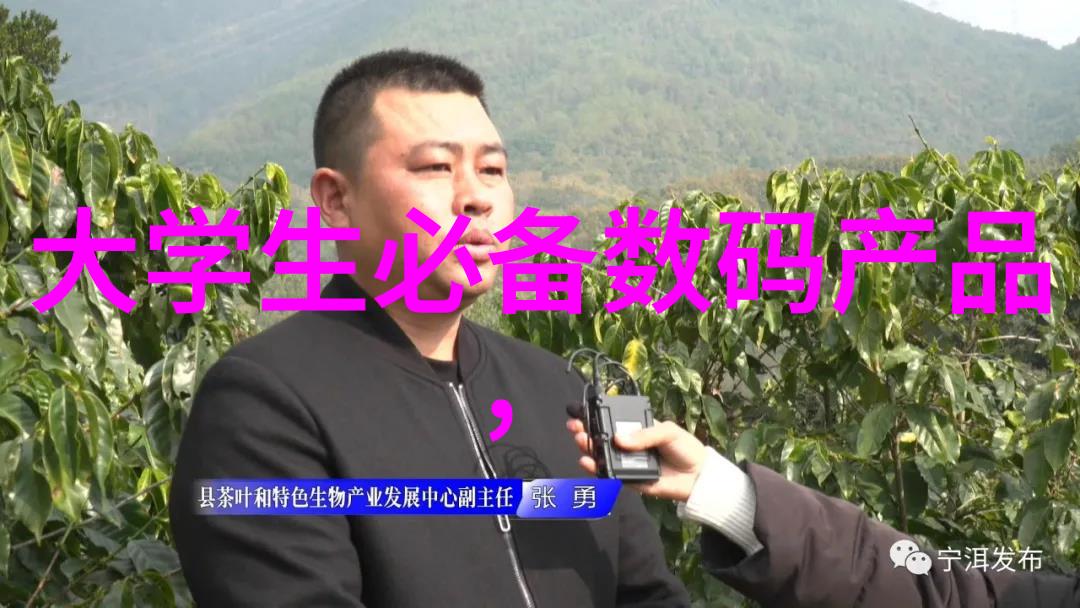 不锈钢矩鞍环填料规范解读与应用实例分析