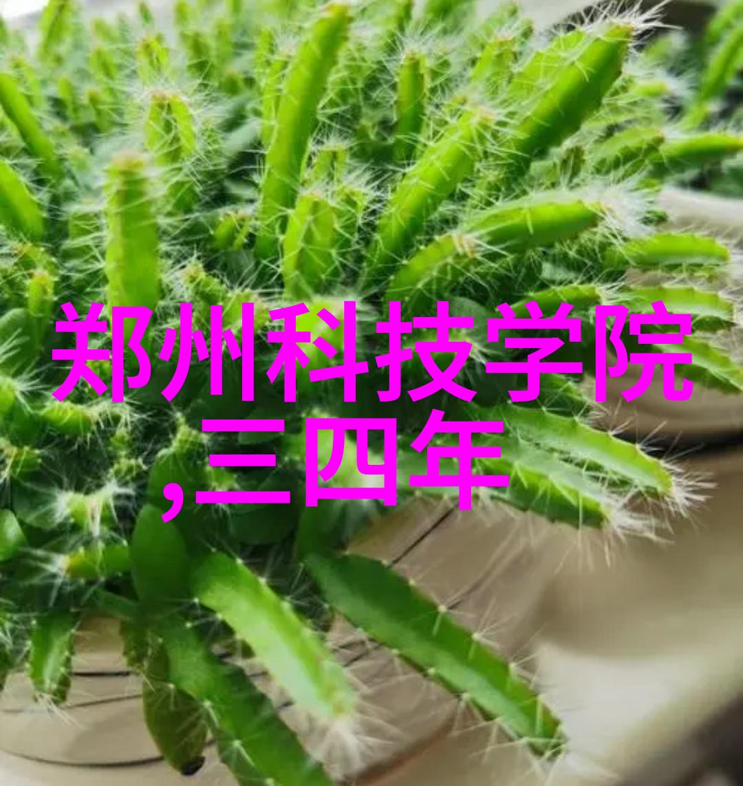 摄影辅助工具高质量反光板