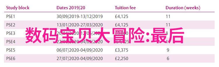 单电生活方式追求简约自在的现代生活