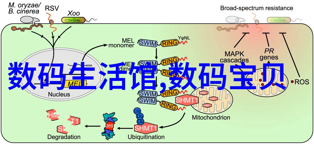 探索光影奇迹风光摄影网站的艺术之旅