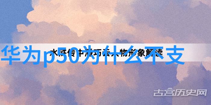 川内伦子绽放在四川的温暖与光芒