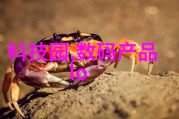 我在现场的日记我的施工日子从混凝土到装修