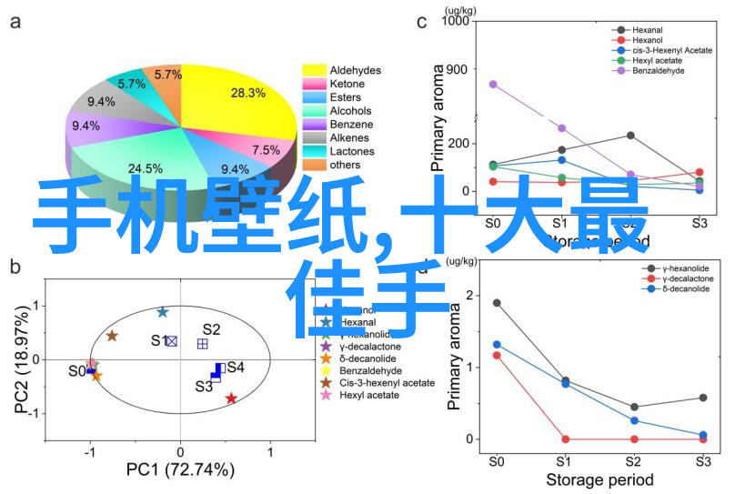 水上乐园夏日游玩的欢乐时光