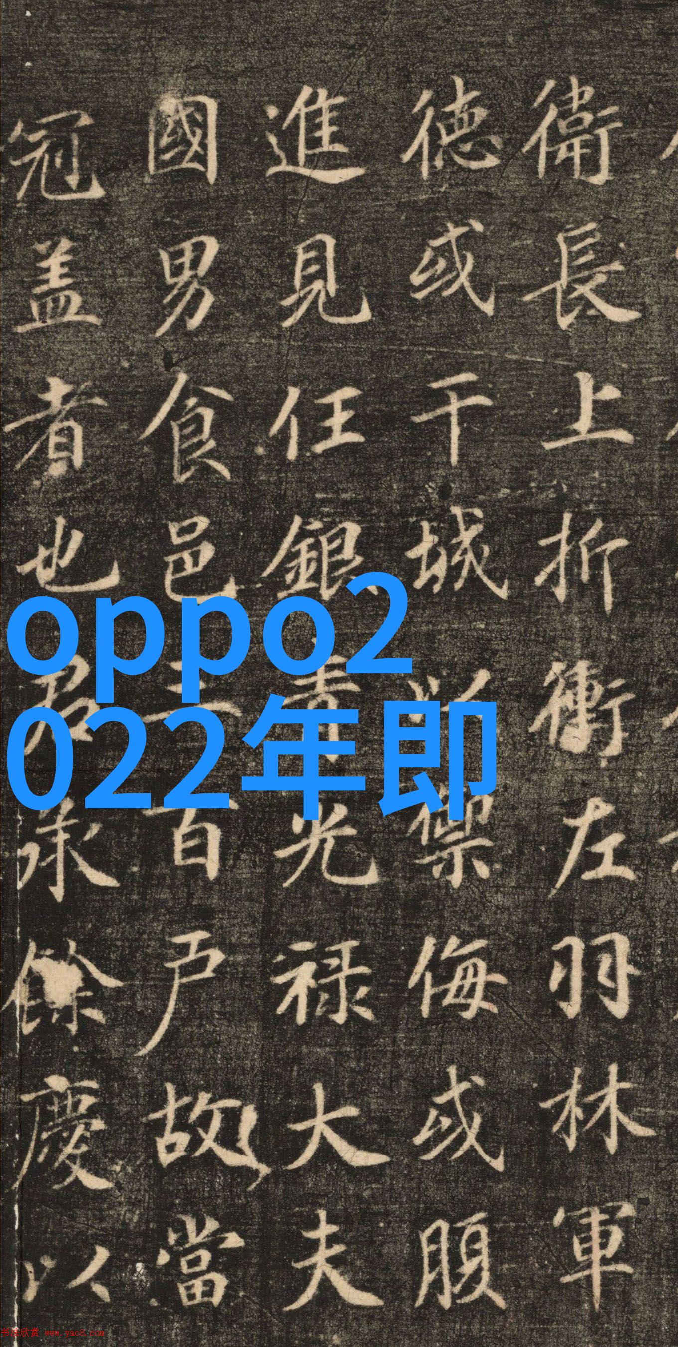 中央财经大学研究生院 - 深耕金融智囊团中央财经大学研究生院的学术探索与创新实践