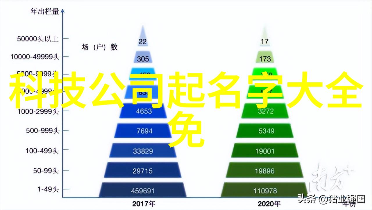 太阳花花语绚烂多彩的生命之美