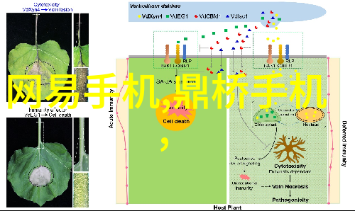 彩钢板防水阁楼装修攻略精准预算与细节要点解析