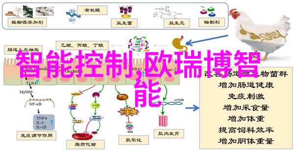 蜂鸟摄影论坛我在蜂鸟摄影论坛上的那些日子从素人到达人