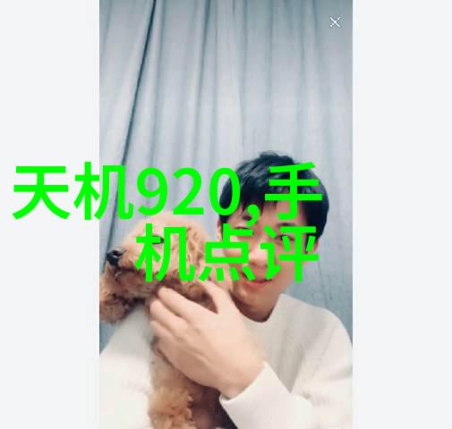 现代新中式装修效果图 客厅温馨典雅的生活角落