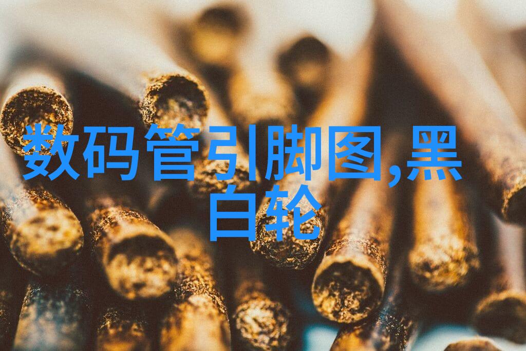 个性化设计让你的家庭成为独一无二的艺术品馆探索个人风格的角色在兔狗家装中的体现