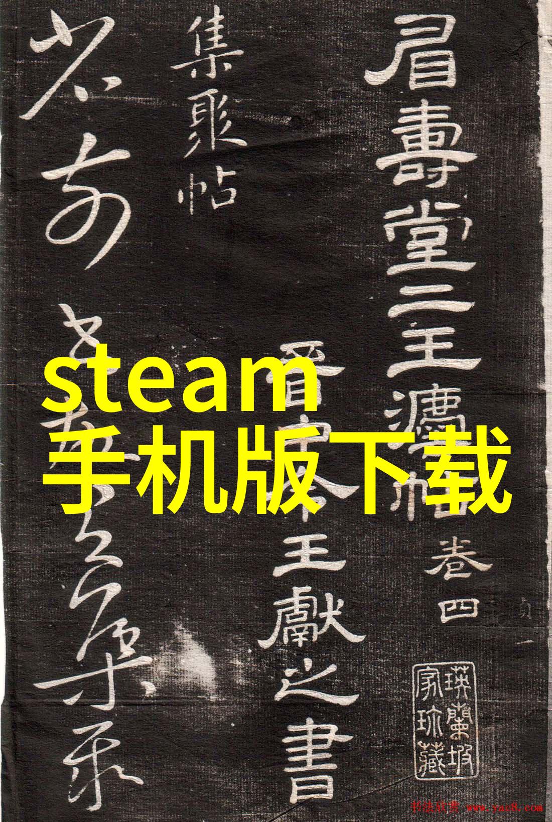 野花日本HD免费高清版视频-赏析日本美丽野花的高品质高清视频