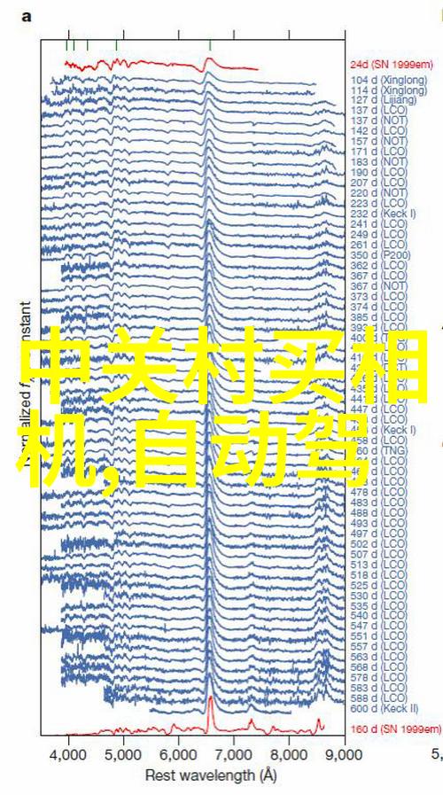 兔子必需死我为什么必须让那个兔子死