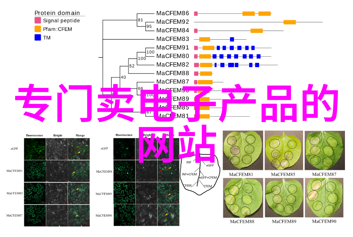 家居美化指南装饰心得与细节要诀