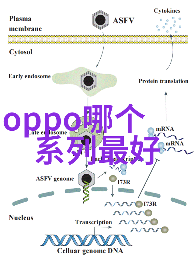 小樱禁图揭秘游戏界最神秘的艺术品