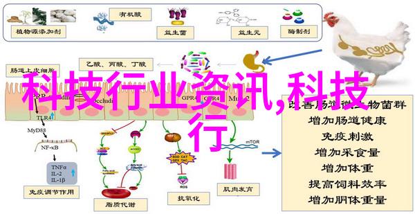 镜头捕捉摄像艺术的光影之旅