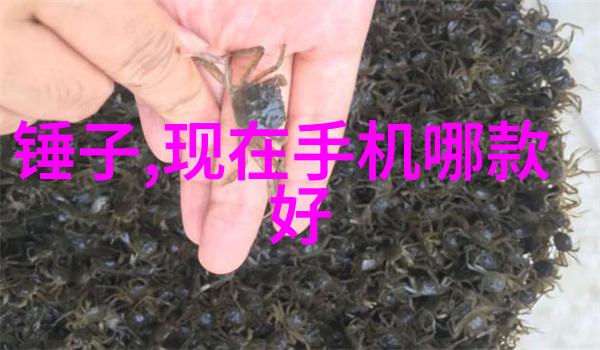 牙科高压蒸汽灭菌锅使用方法与注意事项