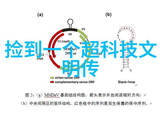 金融界巨头的数字化征程新浪财经如何引领行业变革