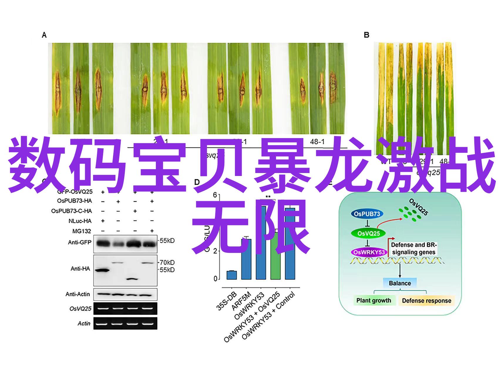 工业巨擘的新篇章5000平方厂房水电报价解析