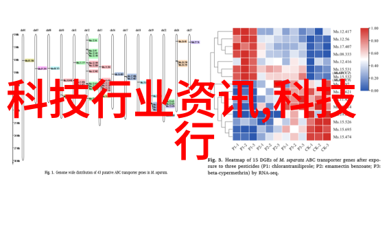 大客厅怎么布置好看图片我来教你如何让你的客厅像模像样的