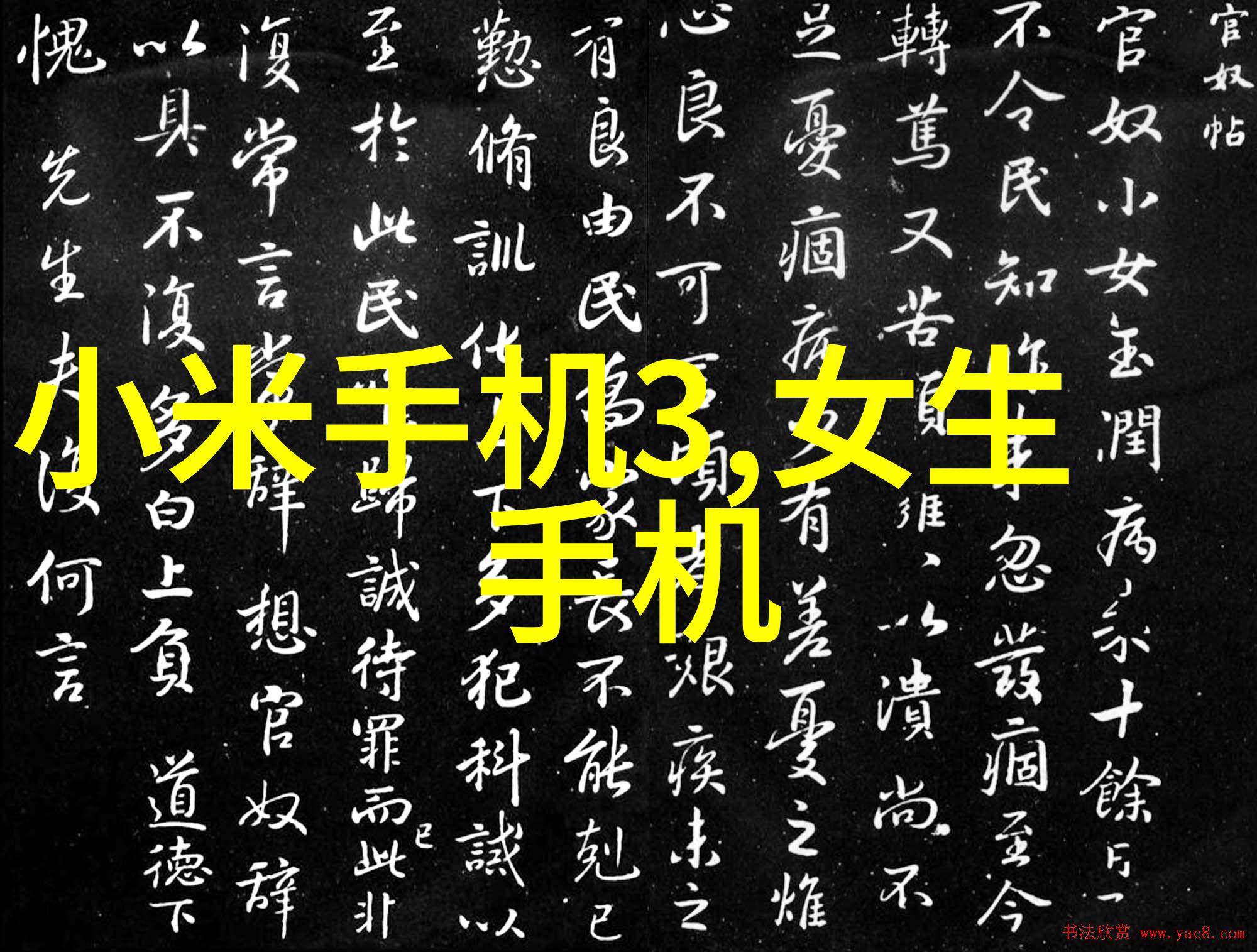 水质检测报告中的数据分析需要遵循哪些质量控制程序