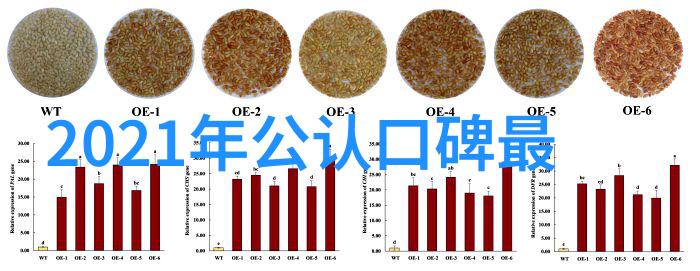 V2-40-BR2-A10-T12-90176CN气缸Tunkers德珂斯操作模式卡布奇诺玫瑰花语又