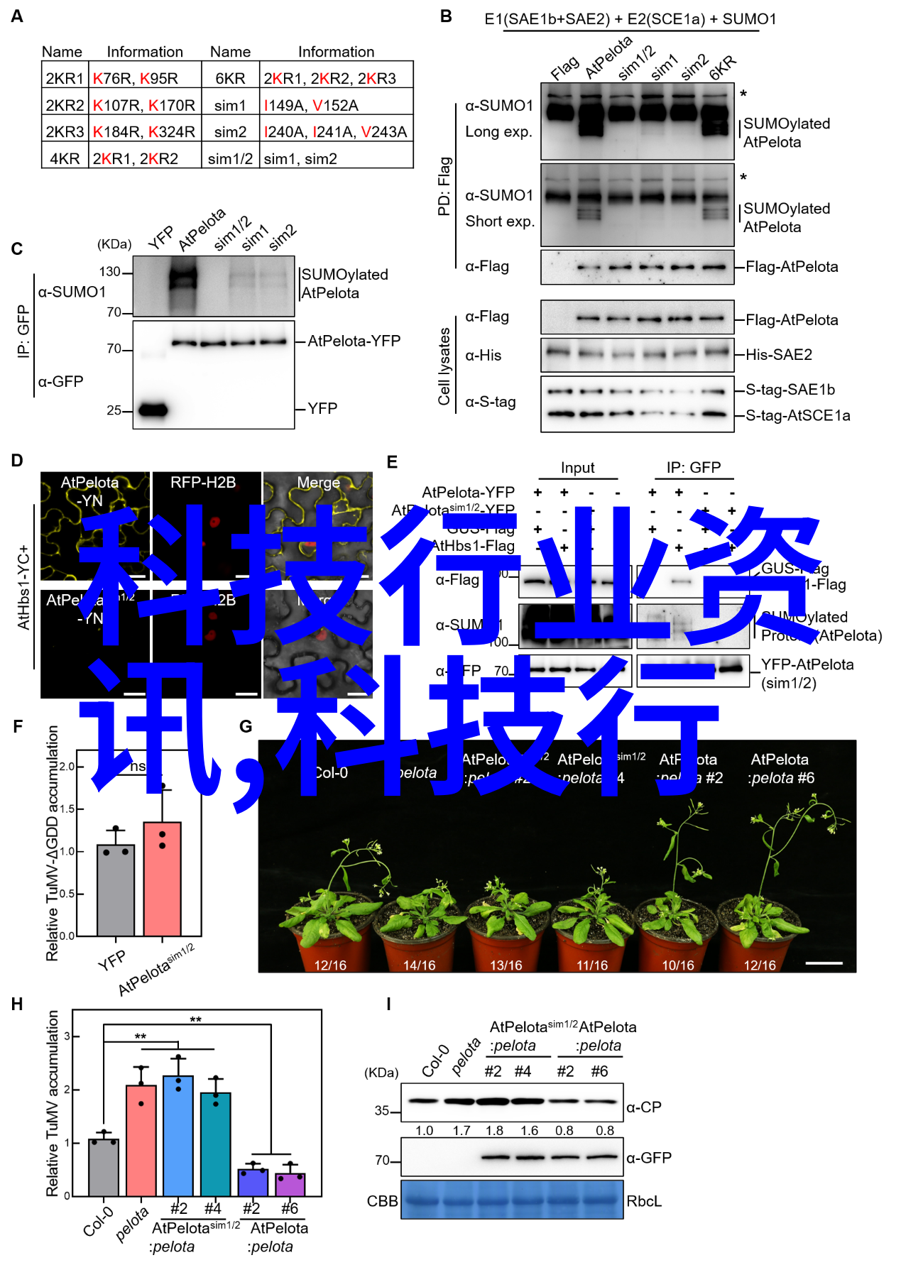 30平米小户型装修中怎样才能有效利用每一寸空间