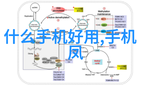 毛坯房墙面装修工序详解基础粉刷防水处理网布打底基层平整