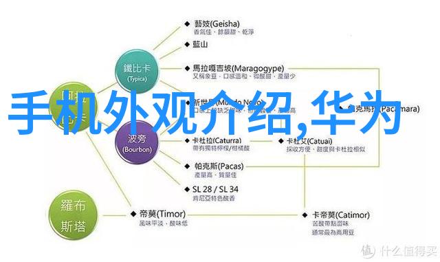 电机维修基础知识高性能直流电机驱动器