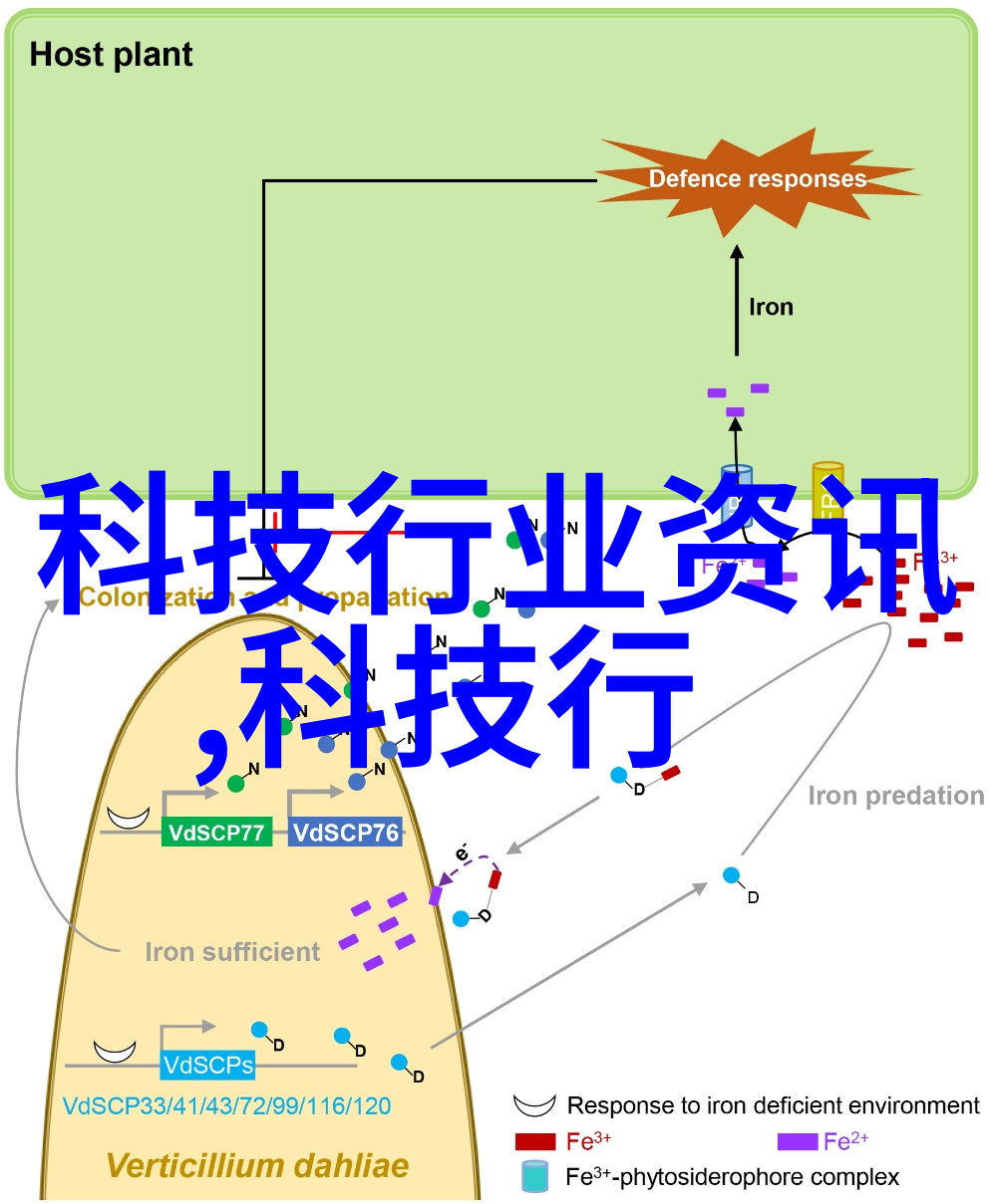 湖北科技学院智慧的火炬在行动