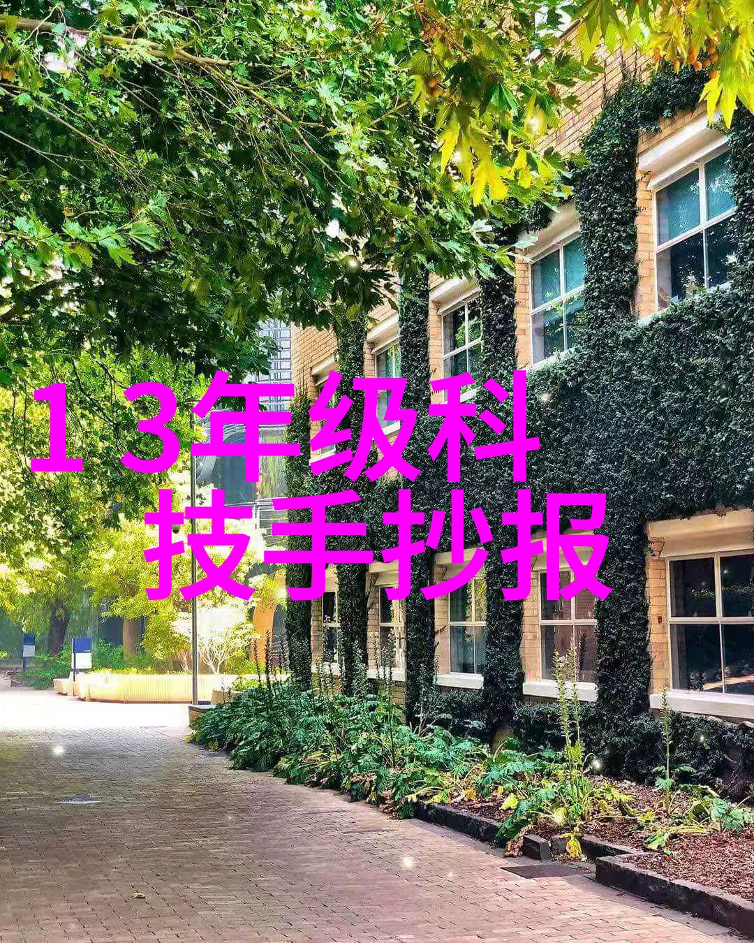 静默中的守护者不锈钢桌子背后的秘密