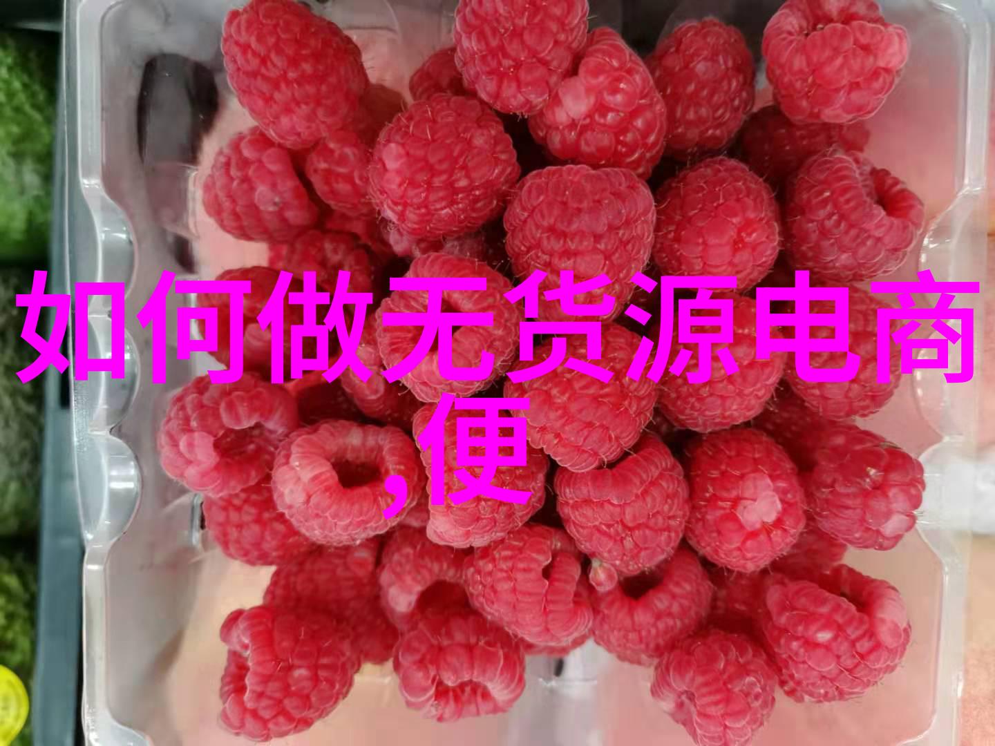 森林中的木匠啄木鸟的日常生活