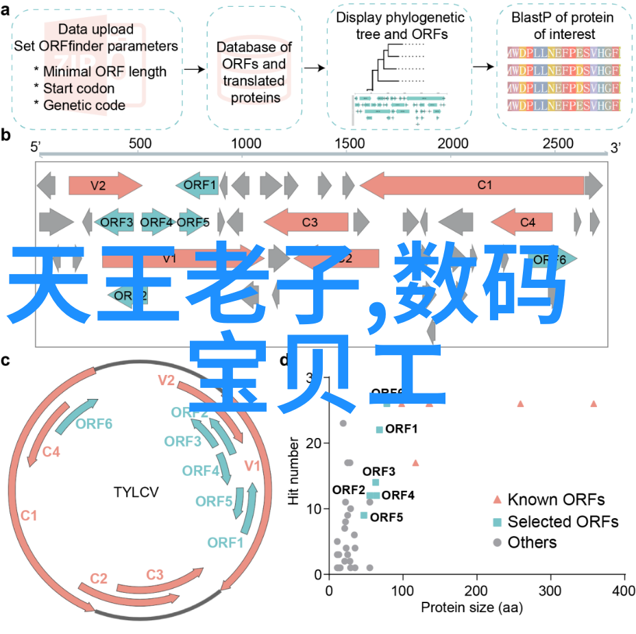 2023年最新卫生间装修风格现代简约设计