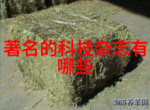 数码科技图片我眼中的未来世界智能摄像头与生活的交融