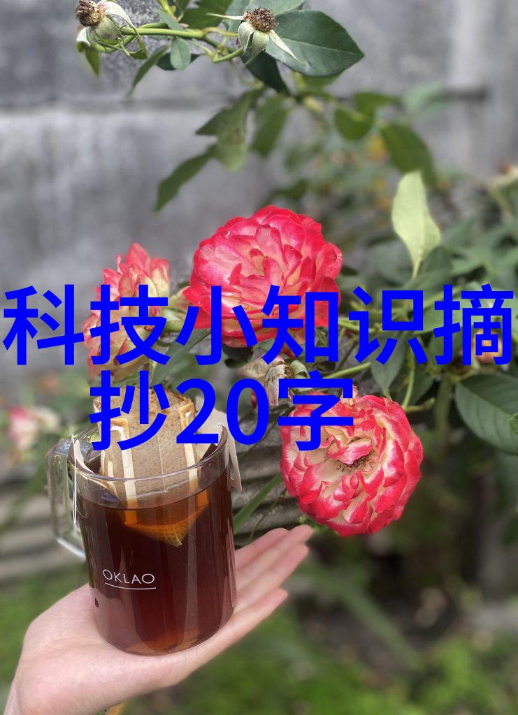 天津职业技术师范大学培育未来教育精英的智慧摇篮