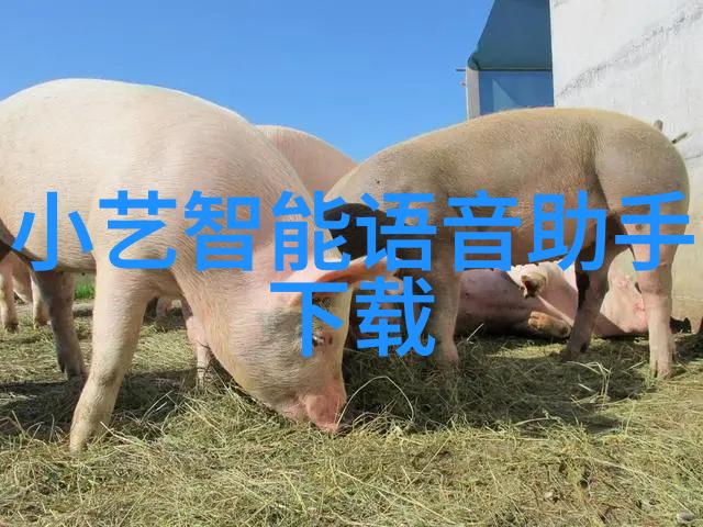 环保涂料大师自锁环保涂料绿色健康的选择