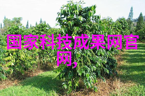 浴室梦想无缝防水涂料创造温馨清洁的厨房卫生间空间