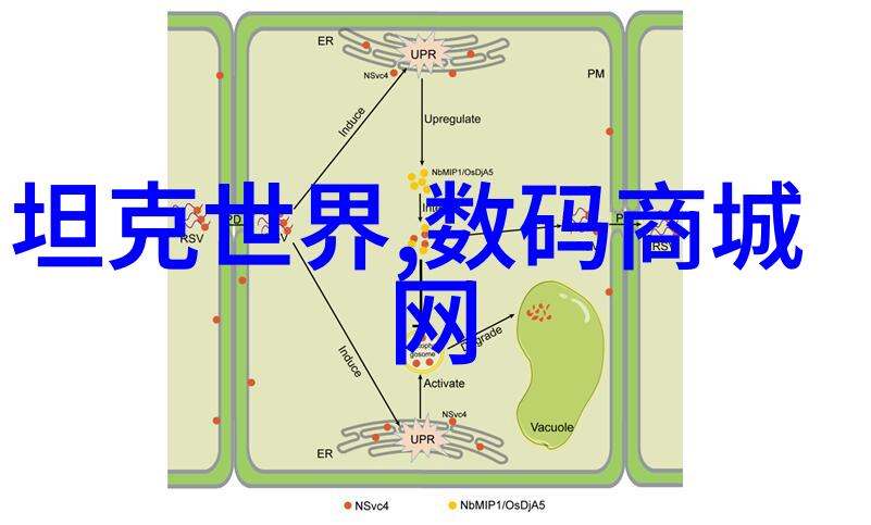 国际学生在他们所在国家庆祝五一时会有什么特别活动举行吗