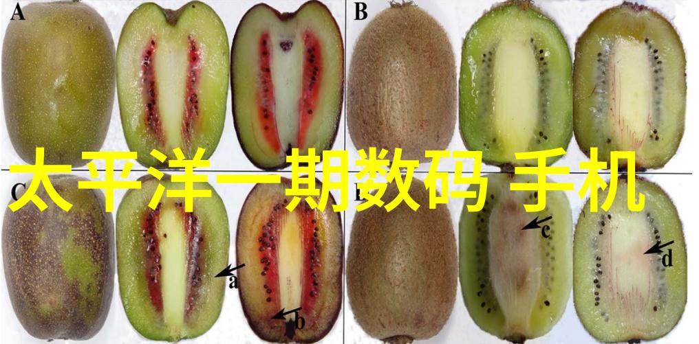 塑料缤纷交织分离器的诗意旋律