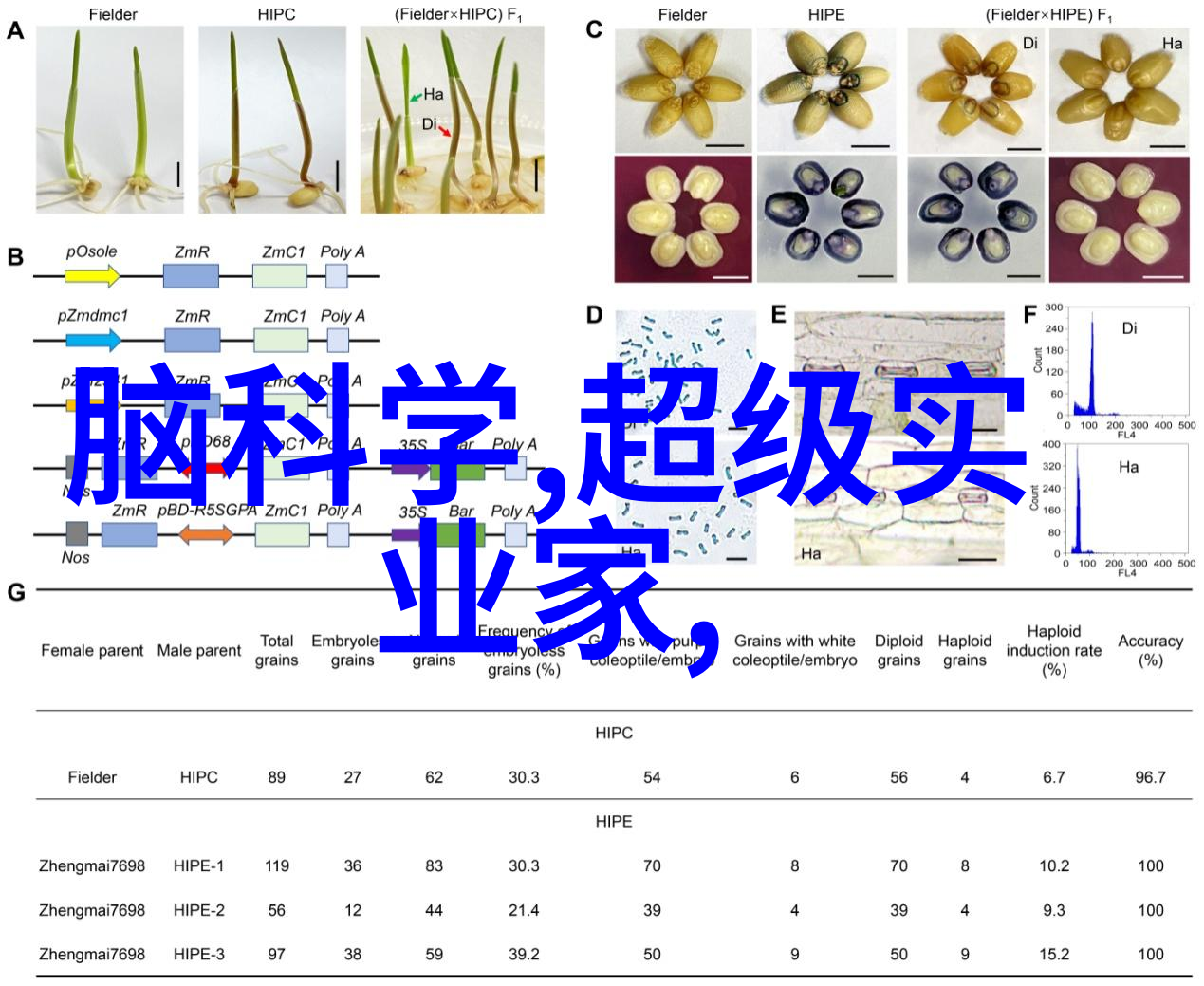 环境适应性与功能性并重未来人防设计方向